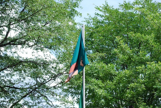 Bandera de Zambia - Livingstone, Zambia