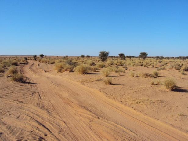 Ríos en medio del Sahara Occidental